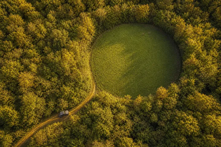 Food Plot Development
