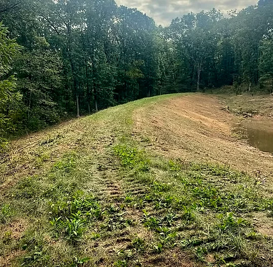 The same field edge in Kevil after brush clearing