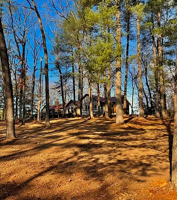 The cabin visible after clearing the surrounding undergrowth in Rosiclare